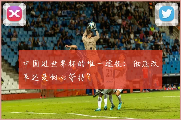 中国进世界杯的唯一途径：彻底改革还是耐心等待？