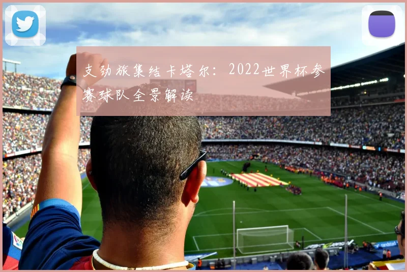 支劲旅集结卡塔尔:2022世界杯参赛球队全景解读