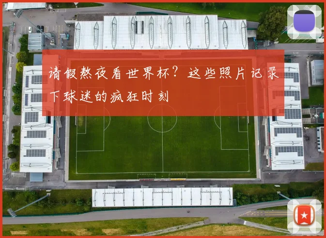 请假熬夜看世界杯？这些照片记录下球迷的疯狂时刻
