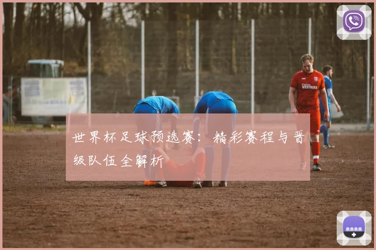 世界杯足球预选赛：精彩赛程与晋级队伍全解析