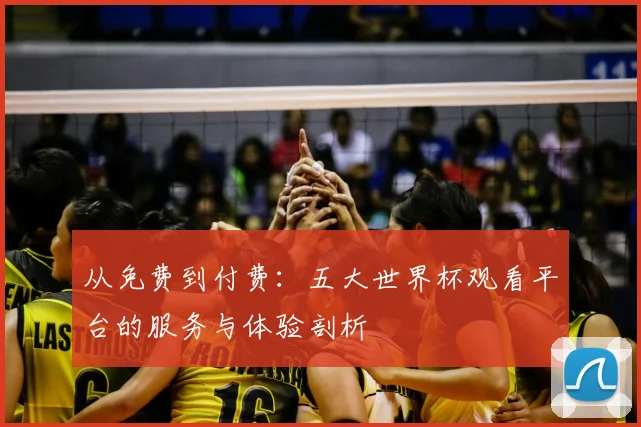 从免费到付费:五大世界杯观看平台的服务与体验剖析