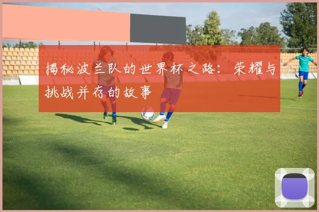 揭秘波兰队的世界杯之路：荣耀与挑战并存的故事