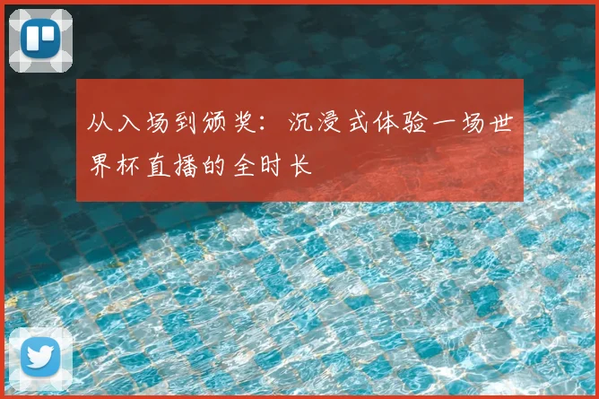 从入场到颁奖：沉浸式体验一场世界杯直播的全时长