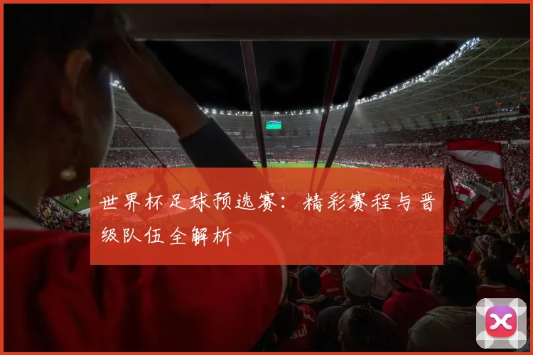 世界杯足球预选赛：精彩赛程与晋级队伍全解析