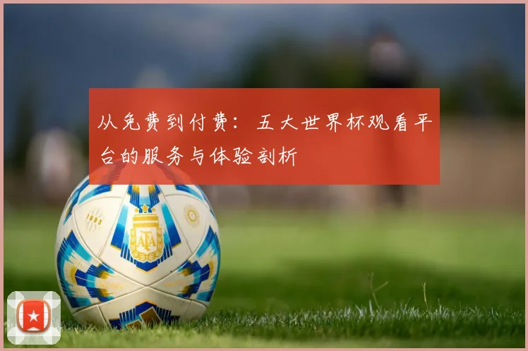 从免费到付费:五大世界杯观看平台的服务与体验剖析