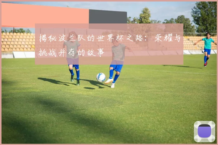揭秘波兰队的世界杯之路：荣耀与挑战并存的故事